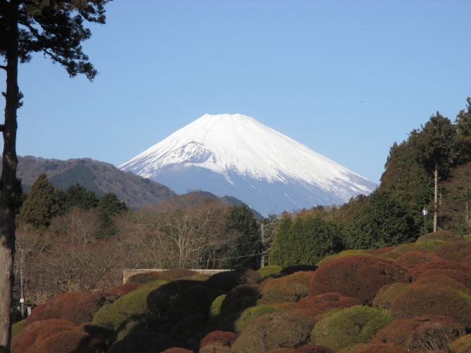 ホテルから見える「富士山」