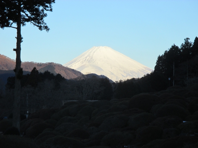 人気の富士山