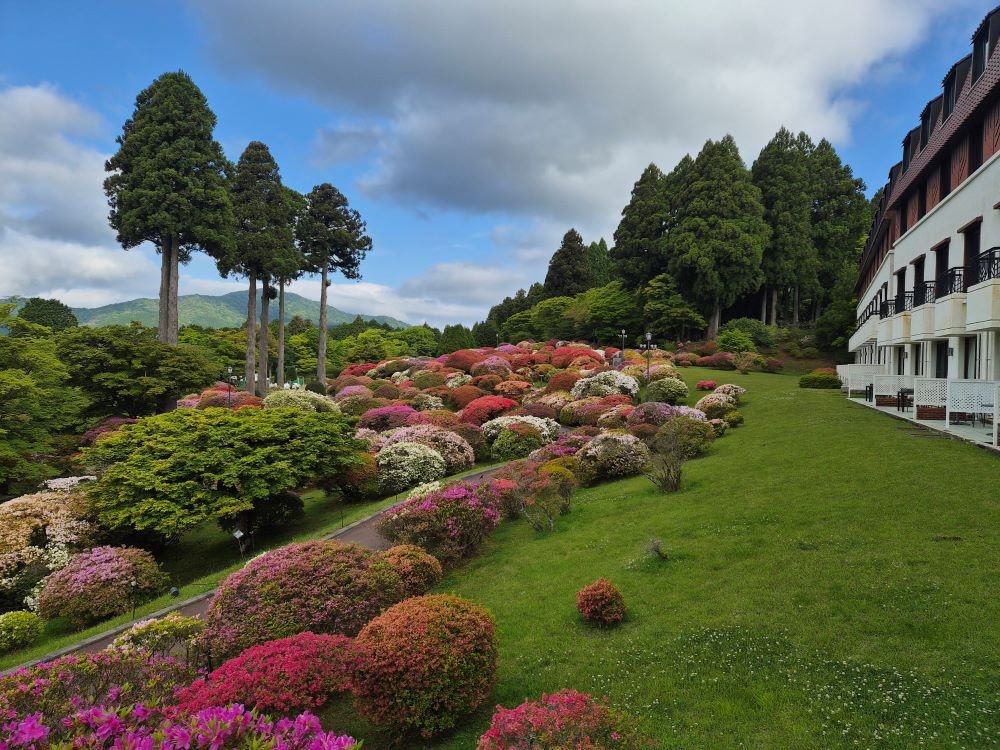 2026開花状況（5月12日）【公式】箱根・芦ノ湖 山のホテル