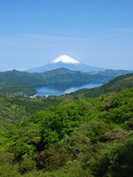 箱根大観山からの景色