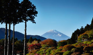 庭園 イメージ