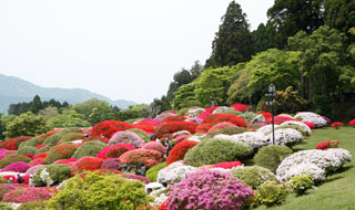 庭園 イメージ