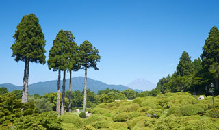 庭園 イメージ