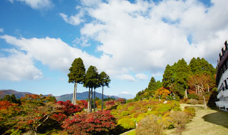 庭園 イメージ