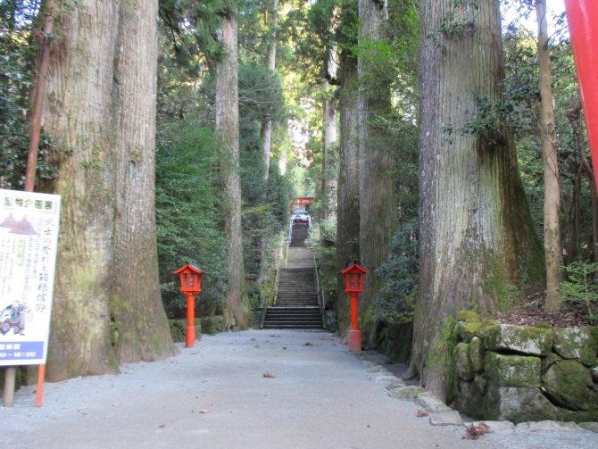 神社参道