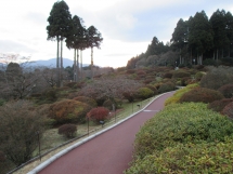 もうじき晴れてきそうな庭園