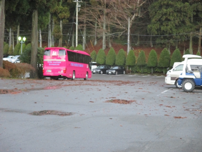 強風後の駐車場②