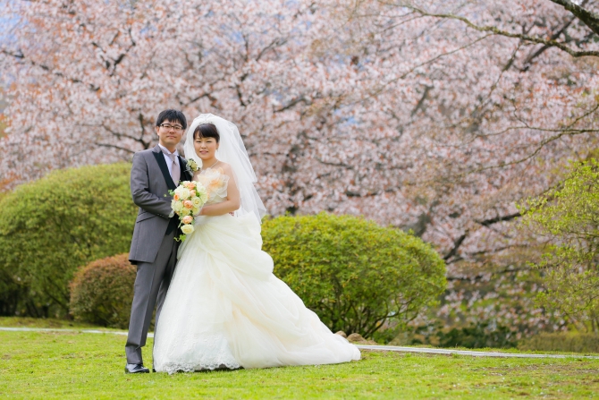 庭園の桜もお二人を祝福