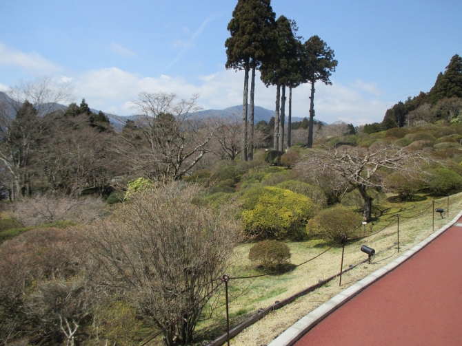 春めいた、本日の庭園