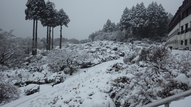 先日の降雪