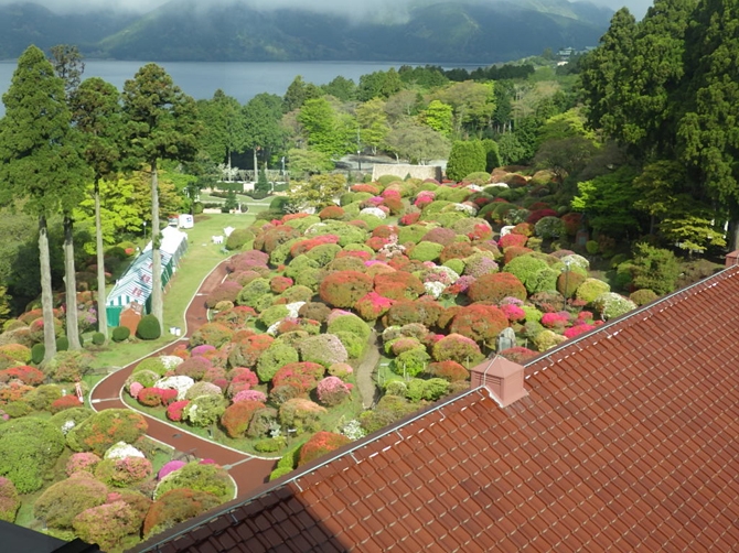 展望室からの景色