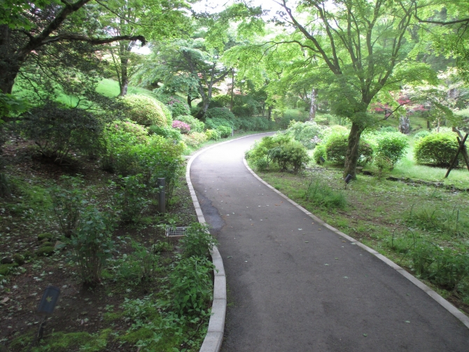 紅葉の小路「紫陽花」