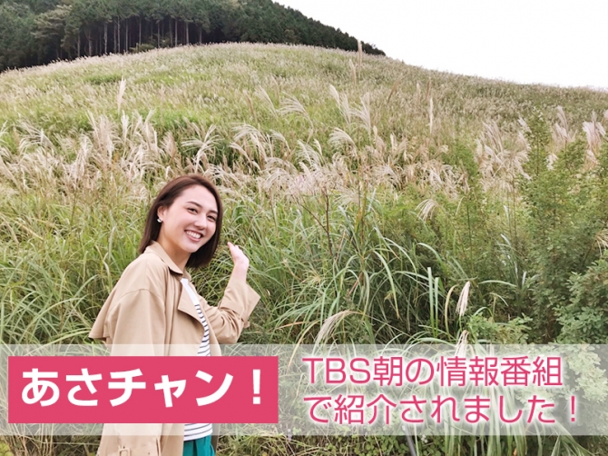 仙石原ススキ草原から中継するTBSアナウンサーの山形純菜さん