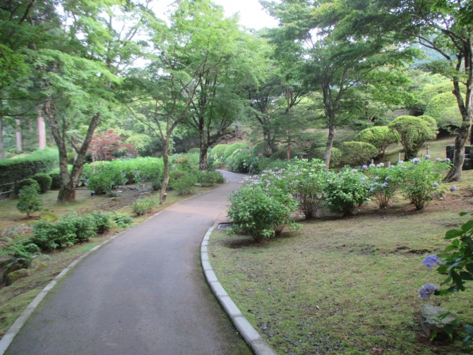 「紫陽花園路」