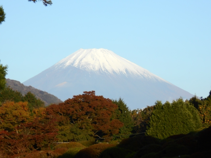 「富士山らしい富士山」