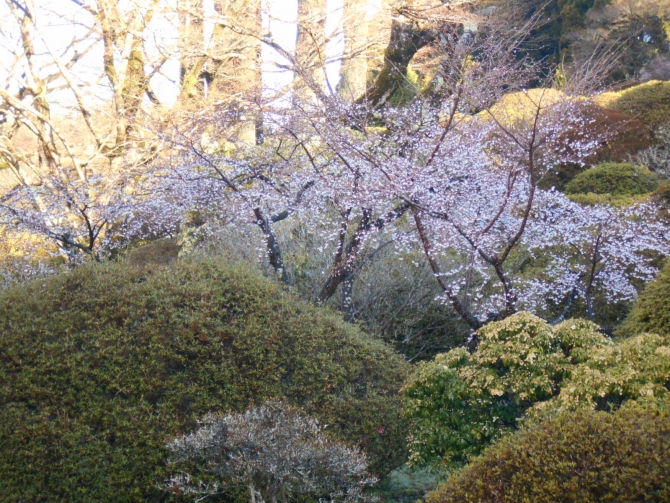 「紅葉の小路入口」