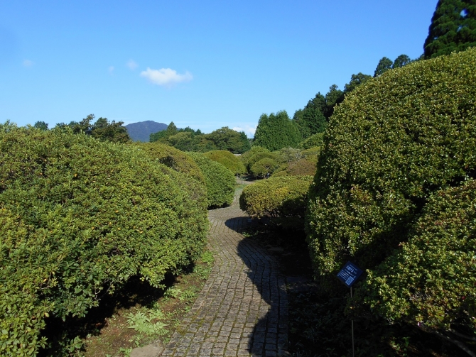 「残念ながら富士山は・・・」