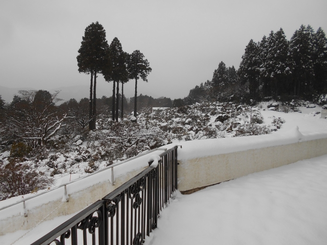 「昨日雪下ろし前の庭園」