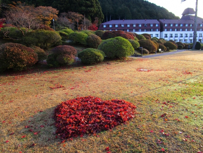 「落ち葉で作った❤」