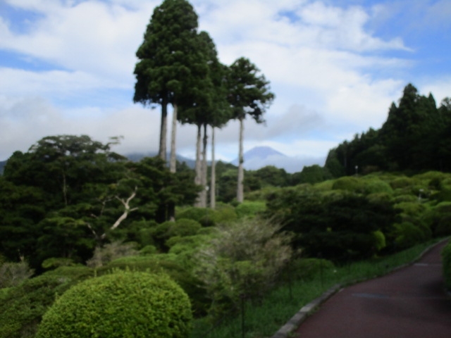 「昨日の朝」