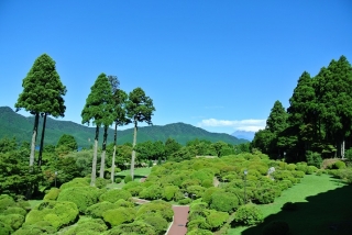 澄み切った空と庭園