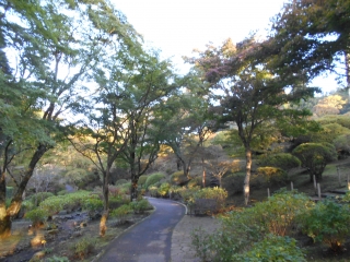 「紅葉の小路」