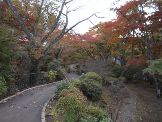 「紅葉の小路」