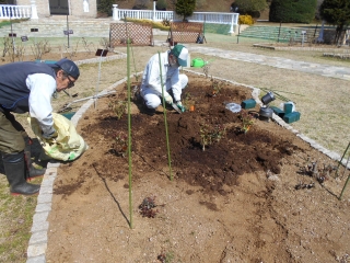 「植え込みの様子」