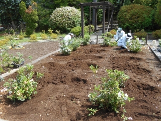 「つつじ植え込みの様子」