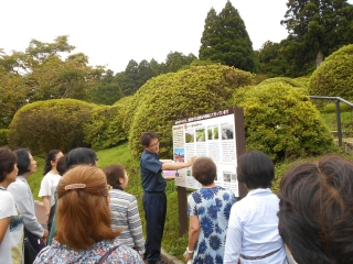 「つつじ年間の手入れ」