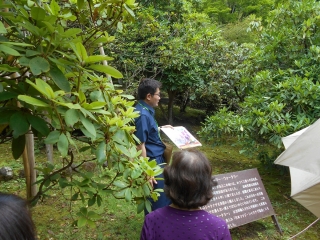 「石楠花園」