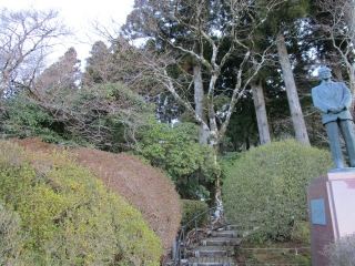 「除去前」