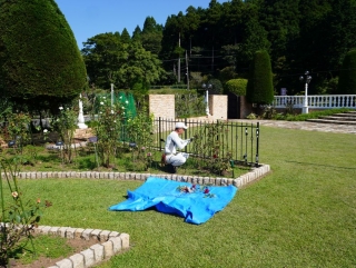 「剪定中」