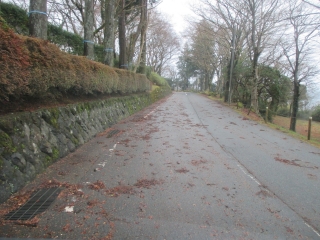 ホテル前道路