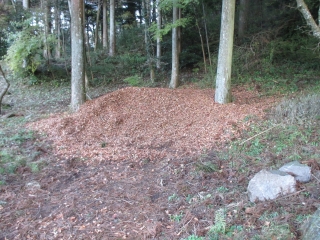 「集積された落葉」