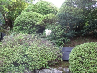 「芦辺荘前の土手」