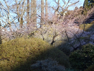 「紅葉の小路入口」