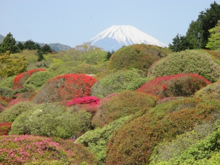 2018年4月29日