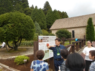 「つつじ圃場」