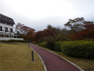 「レストランテラス前の紅葉」