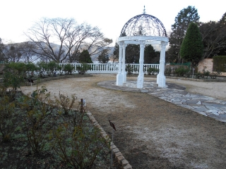 「寒肥をひかえたバラ園」