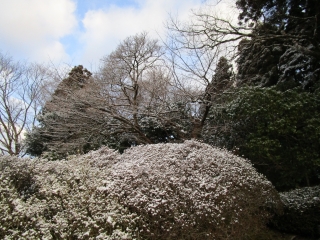 「除去後」