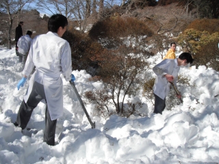 スタッフ総出で雪かき