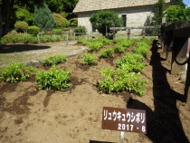 品種ごとに看板を設置