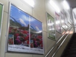 平塚駅
