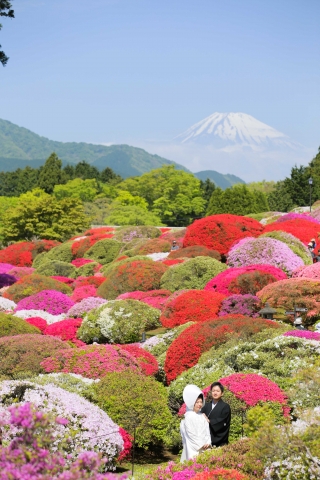 2016年5月8日つつじウェディング