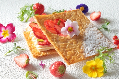 いちご Strawberry（イメージ）