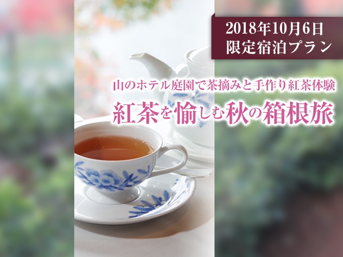 手作り紅茶体験 ホテル庭園の茶畑で 茶摘みから茶揉みなどを体験する秋の箱根旅プラン 公式 箱根 芦ノ湖 山のホテル