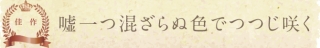 愛知県　ムギ 様