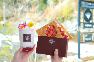 テイクアウト商品とともに箱根散策（イメージ） 